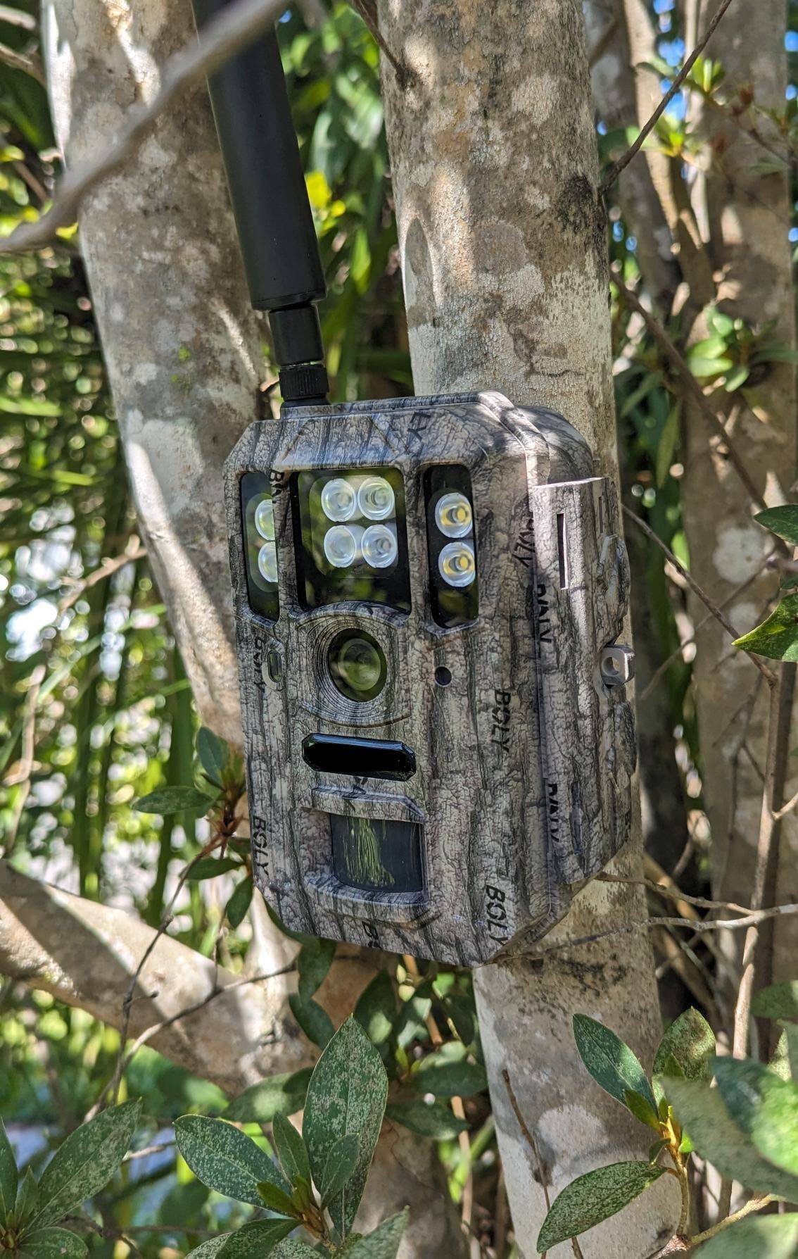 Yarn Mesh prototype TrailCam in tree