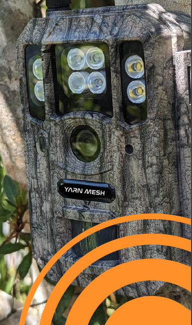cropped-cropped-Yarn-Mesh-AI-TrailCam-with-stylised-YM-Logo